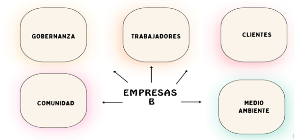 Áreas de análisis de las empresas B 