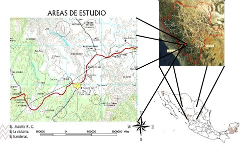 localizacion de las areas de estudio